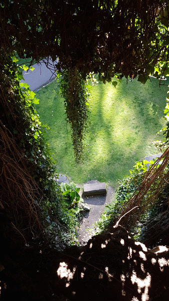 View through the vines looking down to an empty bench and lawn in Umpherston Sinkhole.