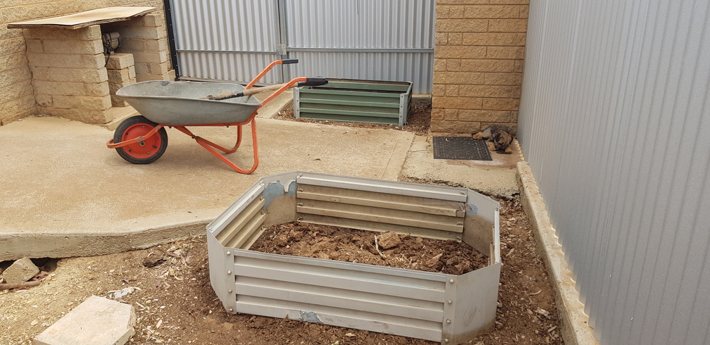 The new veggie patch