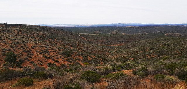View from Dare Hill Summit (along Dare Hill Summit Drive).